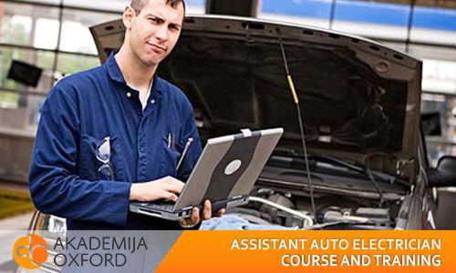 Assistant auto electrician vocational training