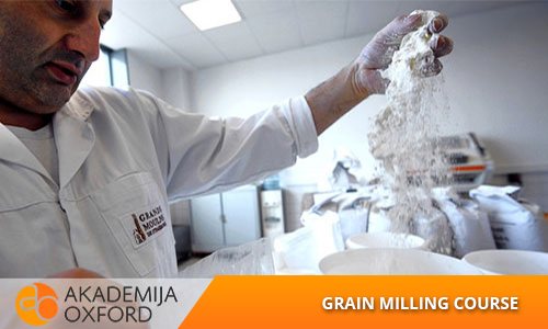 Professional Training and courses for Grain milling