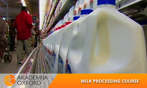 Professional Training and courses for Milk processing