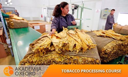 Tobacco processing Training