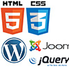 Web Programming Course