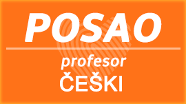 Profesor češkog jezika