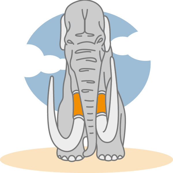 Škola Donji Milanovac