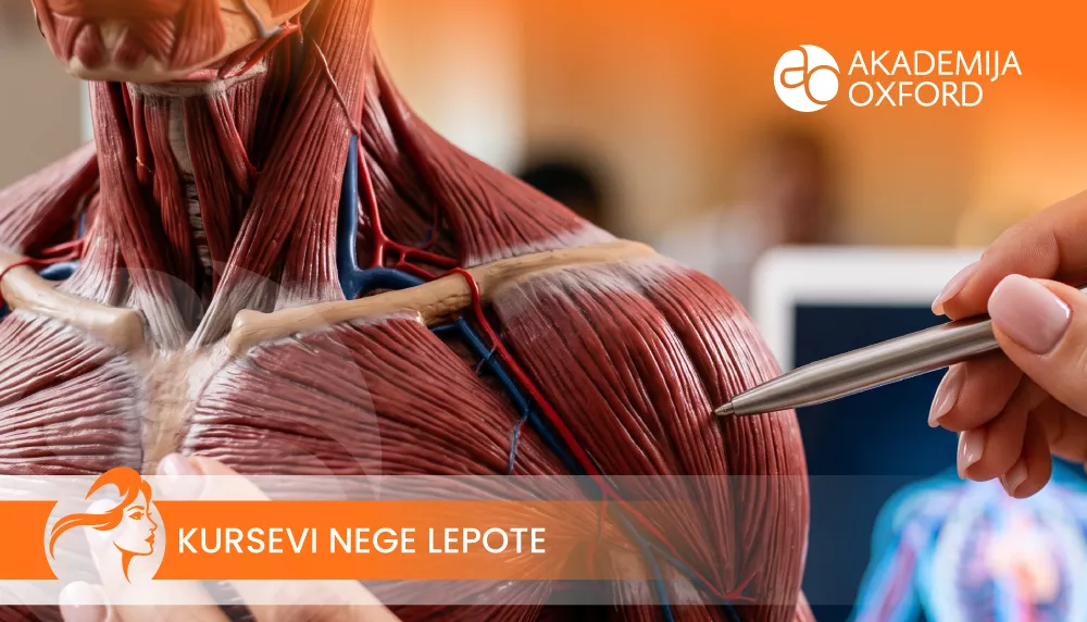 Kurs i obuka pripremne nastave za anatomiju i fiziologiju u okviru neformalnog obrazovanja