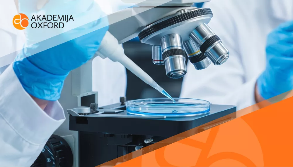 Prevođenje laboratorijskih ispitivanja tehničkih uzoraka