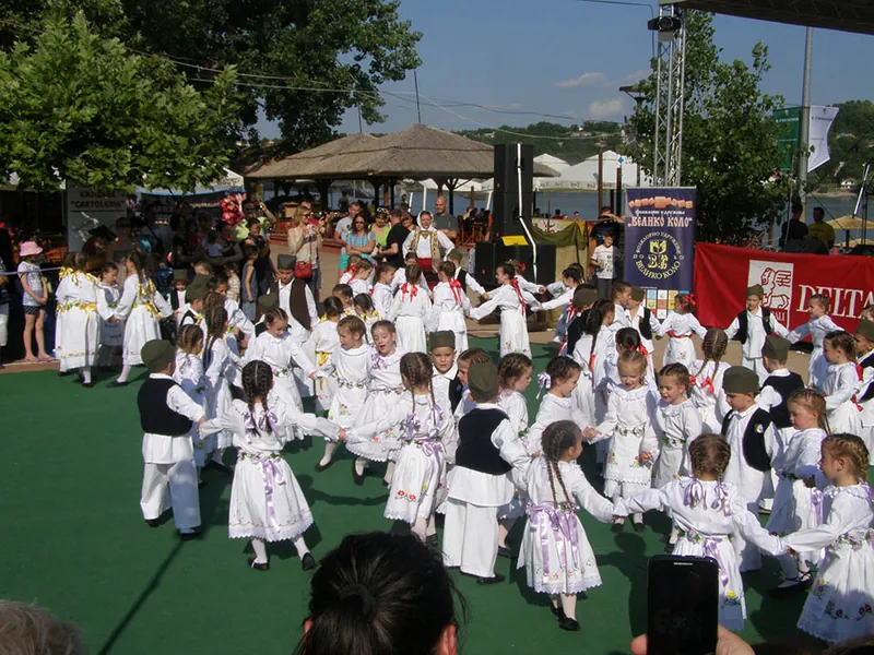 Festival Zov ravnice u Novom Sadu, 14. jun 2014.