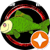 Night Fish