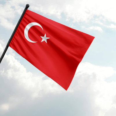 Placement test turskog jezika - Akademija Oxford Placement test turskog jezika - Akademija Oxford