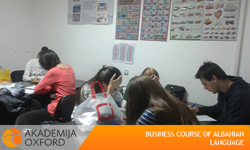 Business Albanian language course