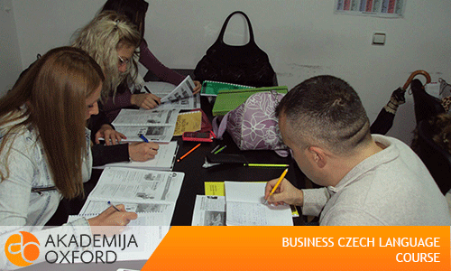 Business Czech Czech Language Course