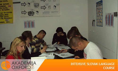 Slovak Language Intensive Course