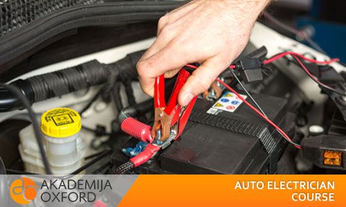 Auto electrician vocational training