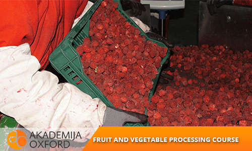 Fruit and vegetable processing course
