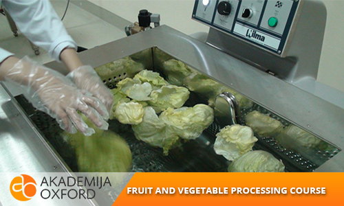 Fruit and vegetable processing Training