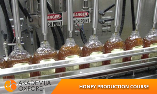 Honey production course