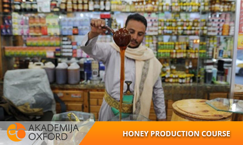 Honey production Training