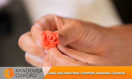 Professional Training and courses for Cake decorating toppers making