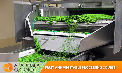 Professional Training and courses for Fruit and vegetable processing