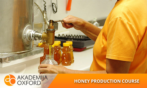 Professional Training and courses for Honey production