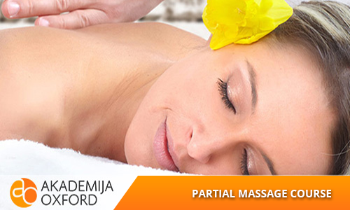 Professional Training and Courses for Partial massage