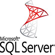 Microsoft Sql Server 2008 Database Maintenance