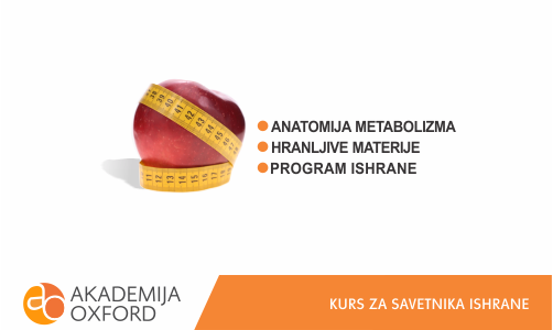 Anatomija metabolizma