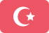 Prevajanje iz češkega v turški jezik