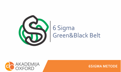 Poslovni pristup 6 SIGMA