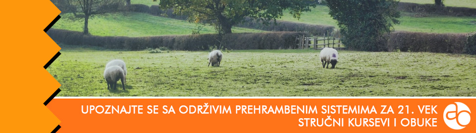 Kurs i obuka - Upoznajte se sa održivim prehrambenim sistemima za 21. vek