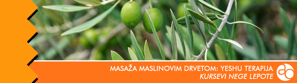 Kurs i obuka za masažu maslinovim drvetom - Yeshu terapija