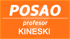 Profesor kineskog jezika