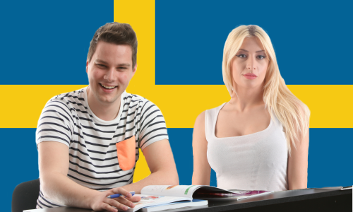 Privatni casovi švedskog jezika
