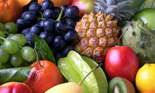 Stručni kursevi i obuke: Prerađivač voća i povrća