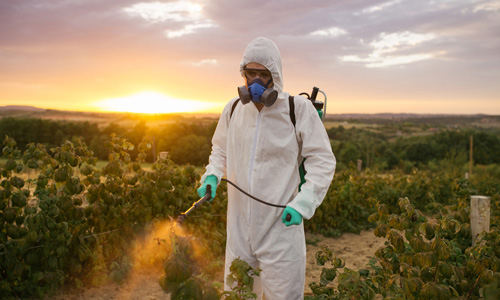 Stručni kursevi i obuke: Upotreba pesticida na povrću u zaštićenim uslovima