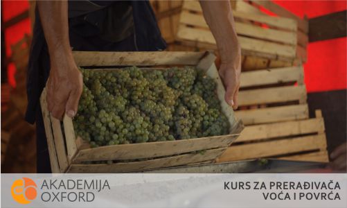 Akademija Oxford - Kurs za proizvodjača voća i povrća Novi Sad