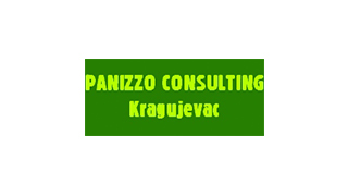 Panizzo consulting