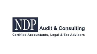NDP audit consulting