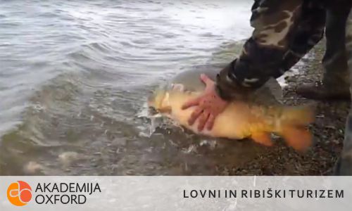 Prevajanje člankov s področja lovnega in ribiškega turizma