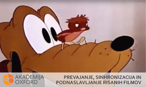 Prevajanju, sinhronizacija in podnaslavljanje risanih filmov, Maribor