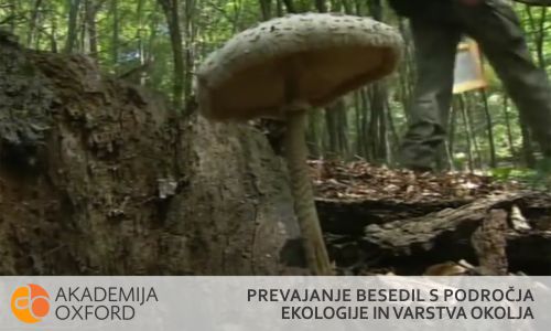 Prevodi besedil s področja ekologije in varstva okolja