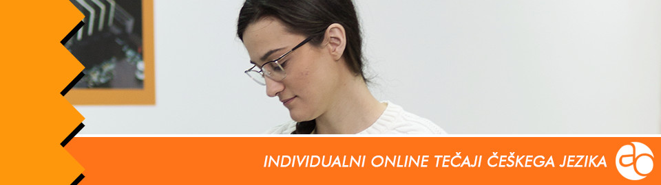 Individualni online tečaji češkega jezika