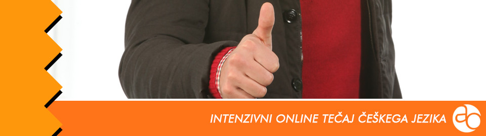 Intenzivni online tečaj češkega jezika