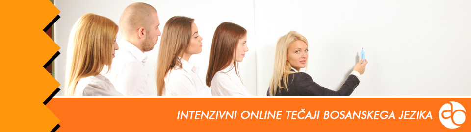 Intenzivni online tečaji bosanskega jezika