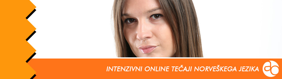 Intenzivni online tečaji norveškega jezika