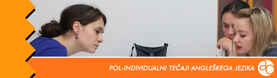 Polindividualni online tečaji in šola angleškega jezika