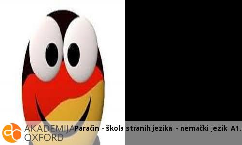 Paraćin - škola stranih jezika - nemački jezik A1 Paraćin - škola stranih jezika - nemački jezik A1