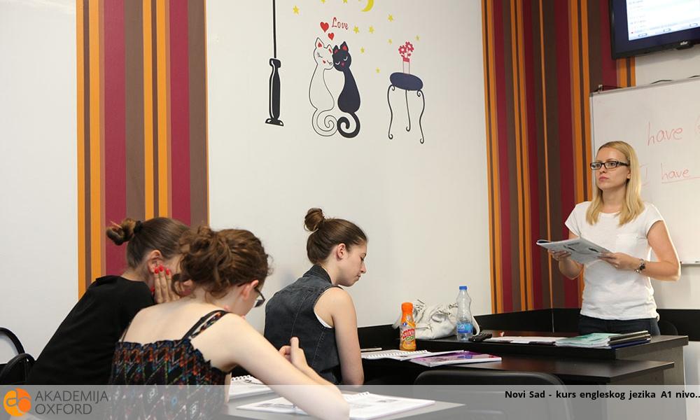 Novi Sad - kurs engleskog jezika A1 nivo Novi Sad - kurs engleskog jezika A1 nivo
