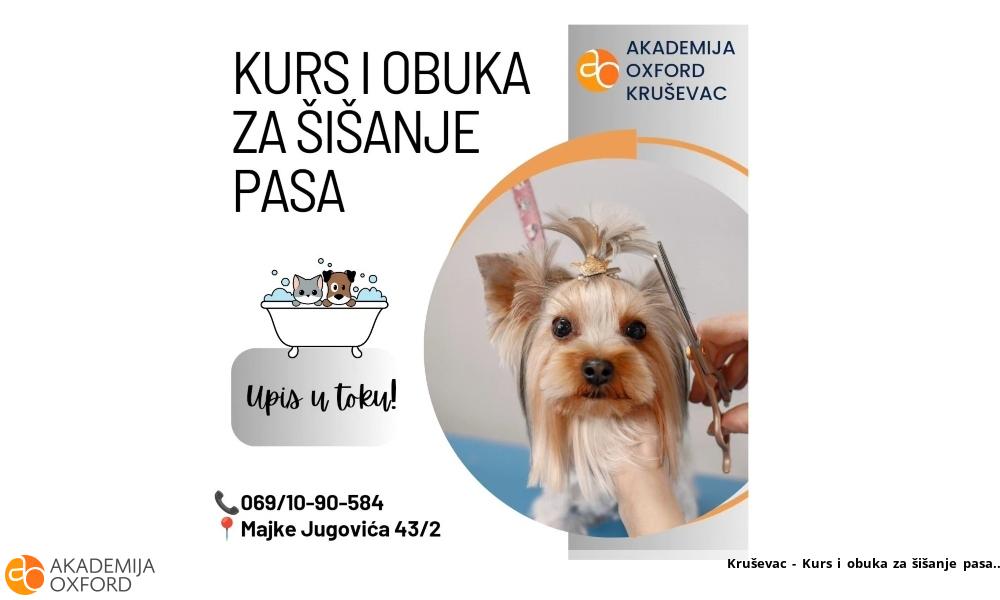 Kruševac - Kurs i obuka za šišanje pasa Kruševac - Kurs i obuka za šišanje pasa