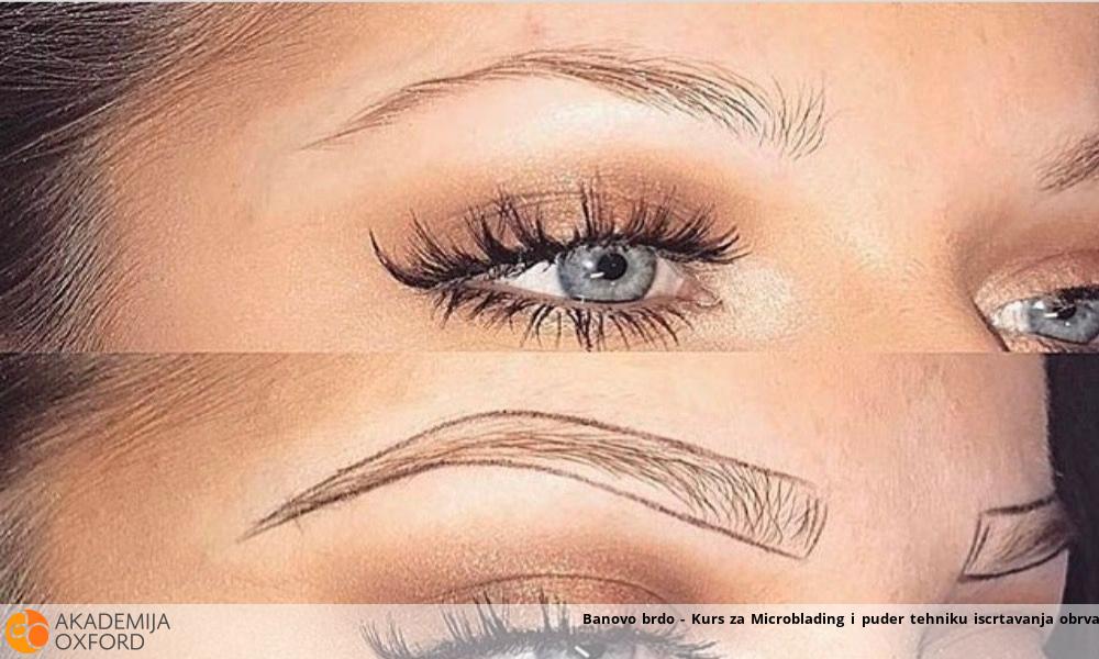 Banovo brdo - Kurs za Microblading i puder tehniku iscrtavanja obrva