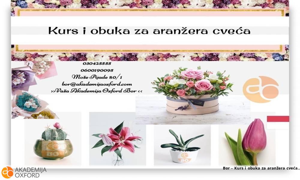 Bor - Kurs i obuka za aranžera cveća Bor - Kurs i obuka za aranžera cveća